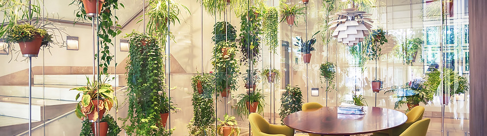 Plant filled contemporary office space