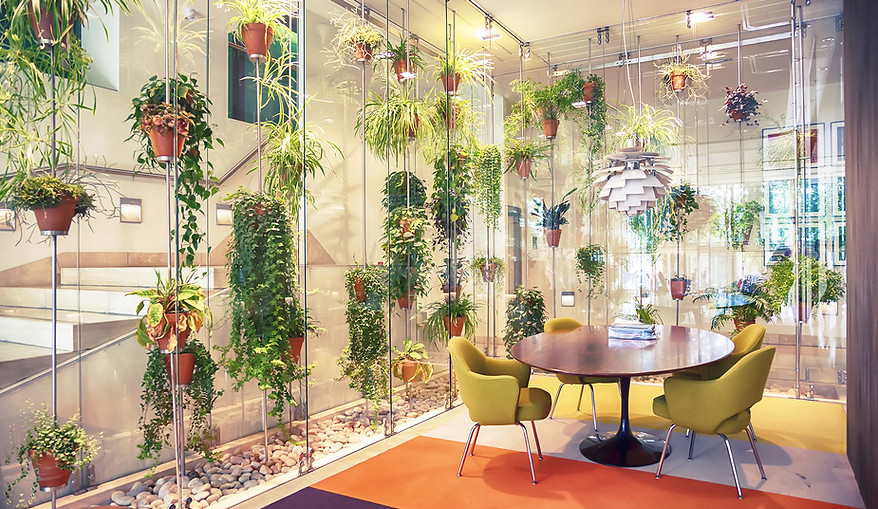 Plant filled contemporary office space