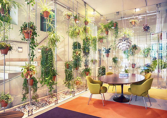 Plant filled contemporary office space