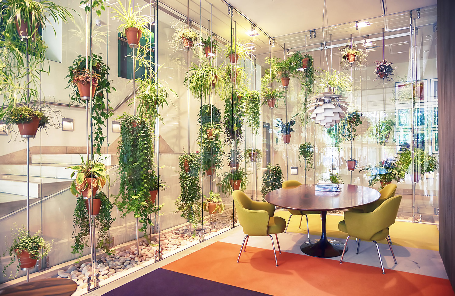 Plant filled contemporary office space