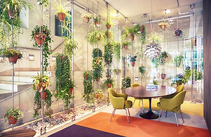 Plant filled contemporary office space