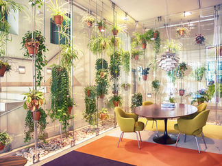 Creating a green office is more then just aesthetic…