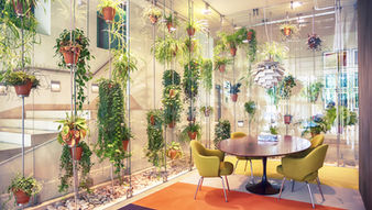 Interior Design affects Our Emotion