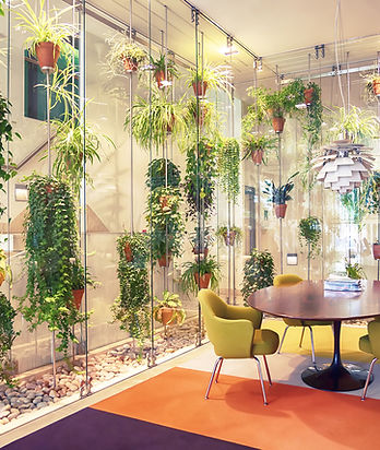 Plant filled contemporary office space