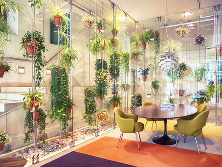 Eco-Offices, Living walls and healthy workspaces