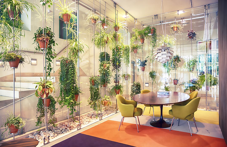 Usine espace de bureau contemporain rempli