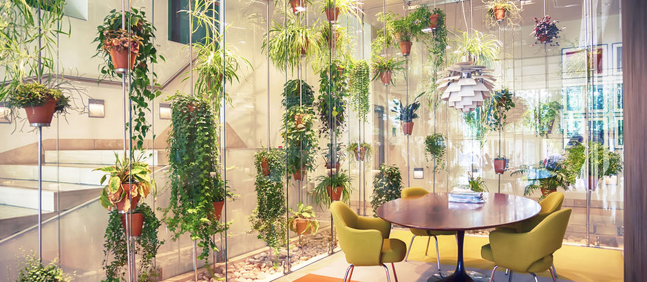Interior Design affects Our Emotion