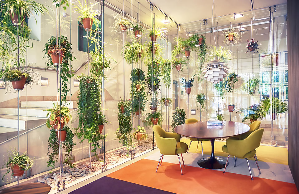 植物充滿現代辦公空間