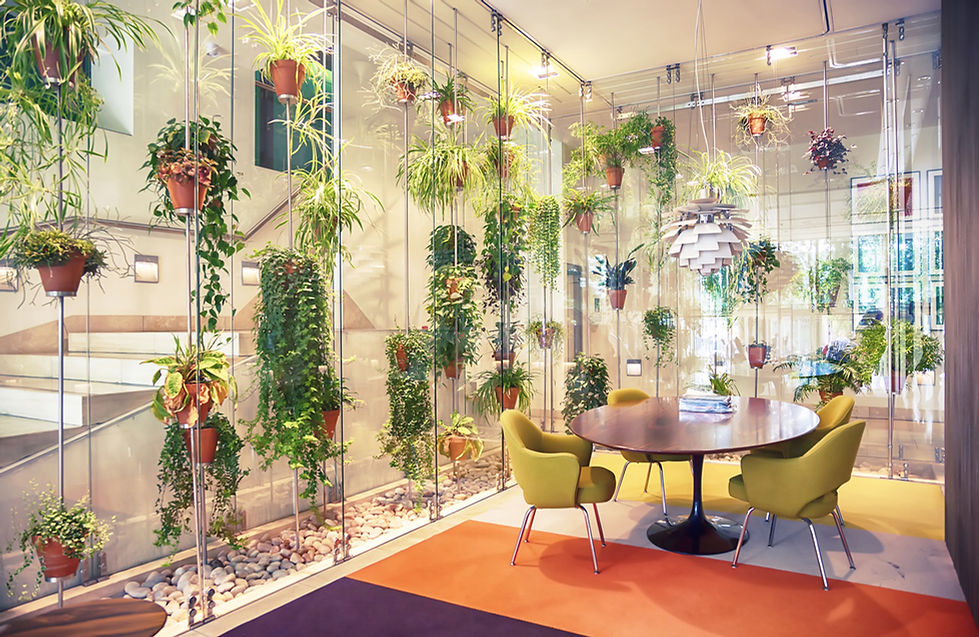 Plant filled contemporary office space