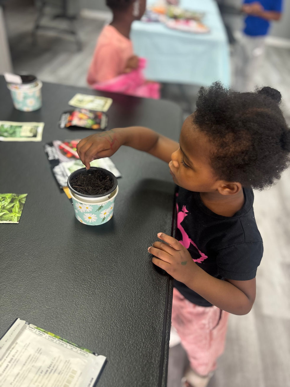 Summer Enrichment: Summer Fun