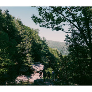 Travel - Catskills and Hudson NY