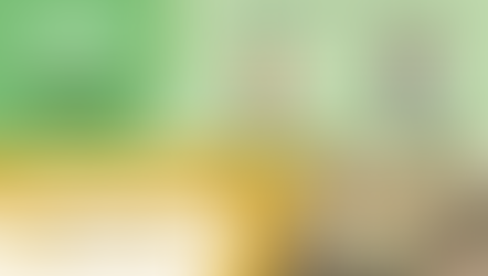 PINJAMAN PERIBADI YAYASAN IHSAN RAKYAT