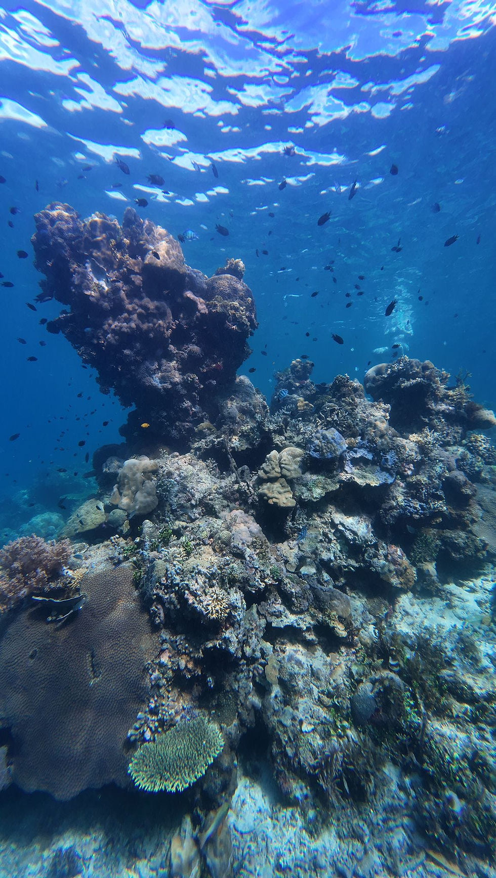 3DAYS 2NIGHTS CORON TO EL NIDO PALAWAN EXPEDITION