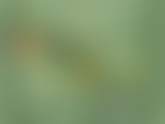 CONVOCATORIA XXXVIII ENEF - UACM