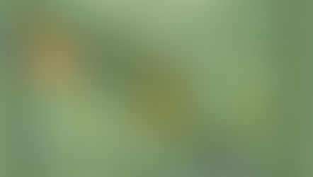 CONVOCATORIA XXXVIII ENEF - UACM