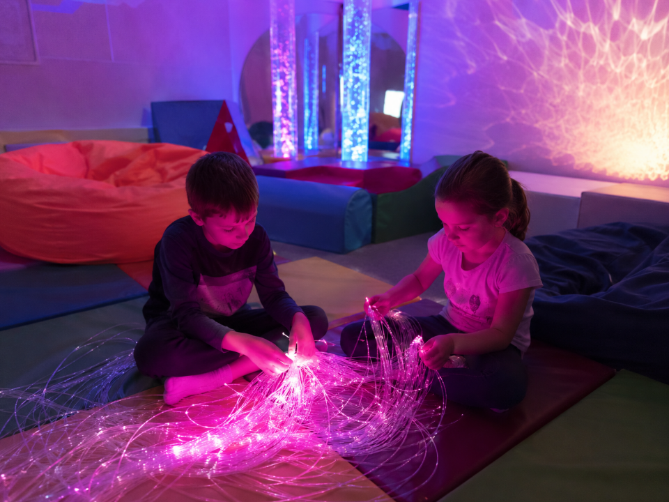 Assessment of Accommodations and Support for Sensory Regulation in Autistic People - אבחון התאמות ותמיכה בוויסות חושי בקרב אוטיסטים