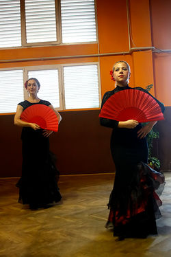 Flamenco 34.jpg