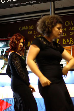 Flamenco 14.jpg
