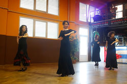 Flamenco 11.jpg