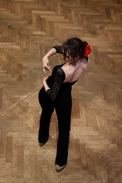 Flamenco 40.jpg