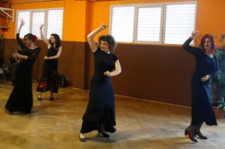 Flamenco 10.jpg