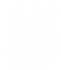 IMPORT ICON.png