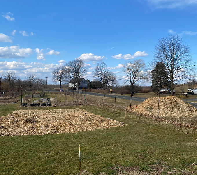 Jo's finishing touches on 740 square feet.JPG
