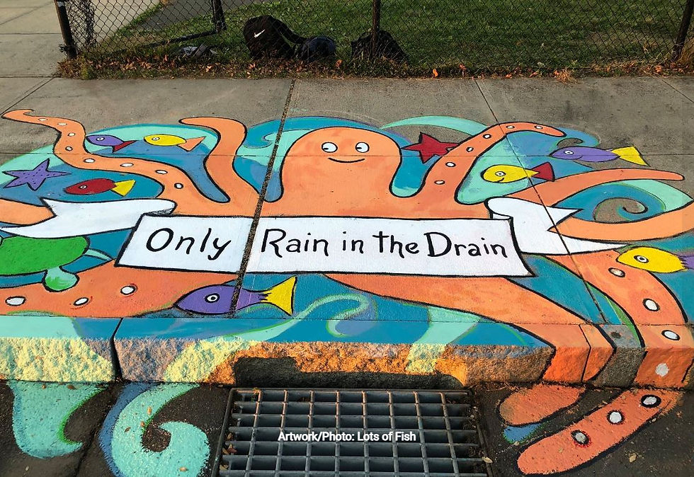 Only Rain in the Drain - Mill River Clean Water Community Project