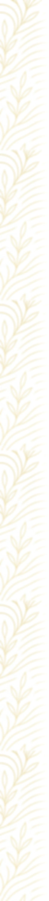 pattern rechts_edited.jpg