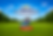 B34C4819-CC39-411A-8B83-981A2E3D469A.png