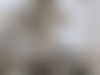 Maintenance Detective: DC Brush Motor