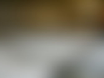 Maintenance Detective: Articulated Conveyors