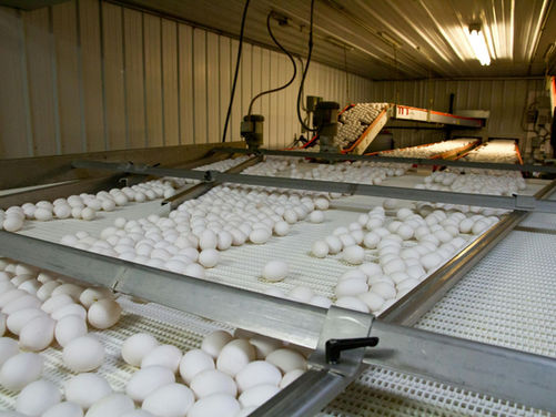 Maintenance Detective: Articulated Conveyors