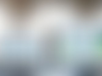 Laws of Leadership: Ashby's Law