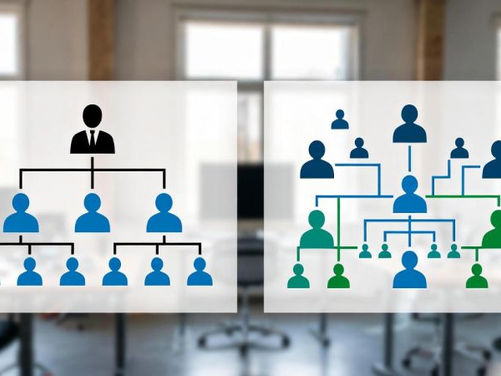 Laws of Leadership: Ashby's Law