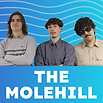 The Molehill Icon.png