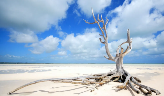 Screen Shot 2023-03-27 at 10.04.05 AM.png