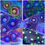 Thumbnail: Zoanthids 6 corals pack (small heads)