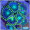 Thumbnail: Radioactive Dragon Eye Zoanthids Aquaculture Saltwater Coral. Grown in USA