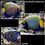 Thumbnail: Emperor Angelfish (Juvenile’s)