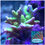 Thumbnail: Electric Lemonade Anacropora Forbesi SPS coral