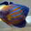 Thumbnail: Annularis Angelfish