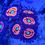 Thumbnail: Everlasting Gobstopper Zoanthids