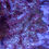 Thumbnail: Crayola Plana Acropora SPS Coral