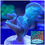Thumbnail: Green Pavona SPS Coral