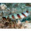 Thumbnail: Steinitz Goby