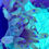 Thumbnail: Elegance Coral (color tips) LPS coral