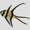 Thumbnail: Banggai Cardinal Fish (Pack of 3)