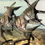 Thumbnail: Angelfish Assorted (5 fish pack)
