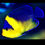 Thumbnail: Venustus Angelfish